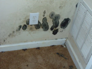 Mold in a room corner