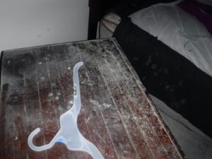 Mold damage on a desk