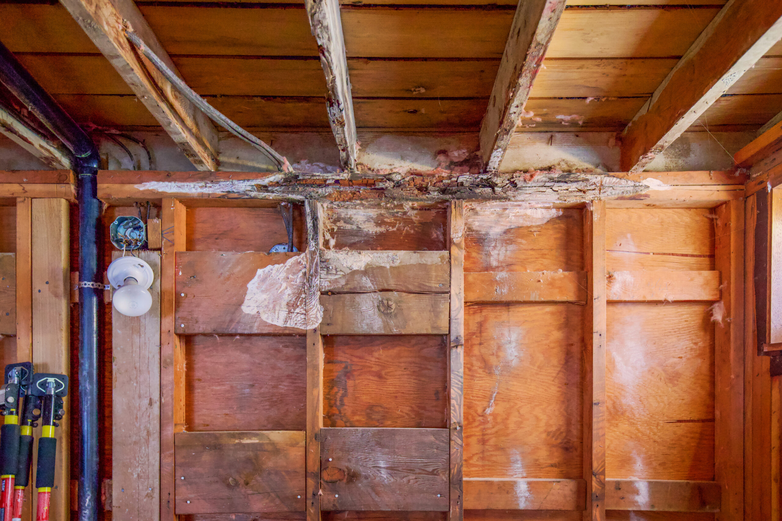 Dry Rot: Prevent Spread in Florida Homes